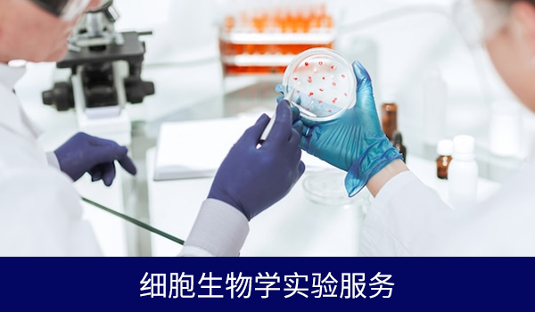 细胞生物学实验服务