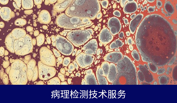 病理检测技术服务