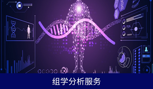 组学分析服务