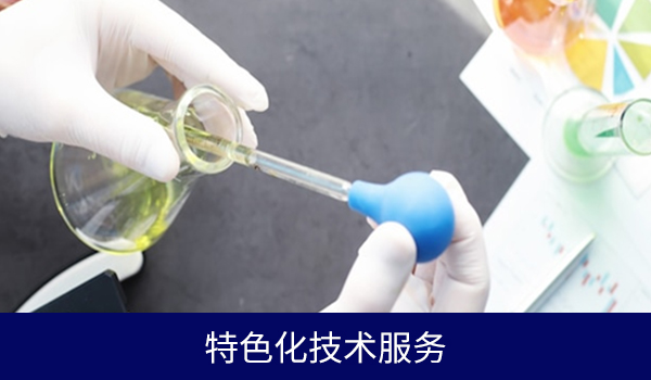 特色化技术服务