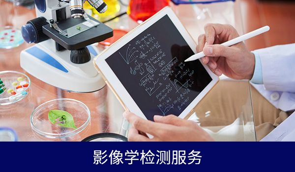 影像学检测服务