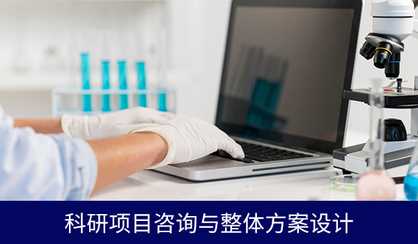 科研项目咨询与管理