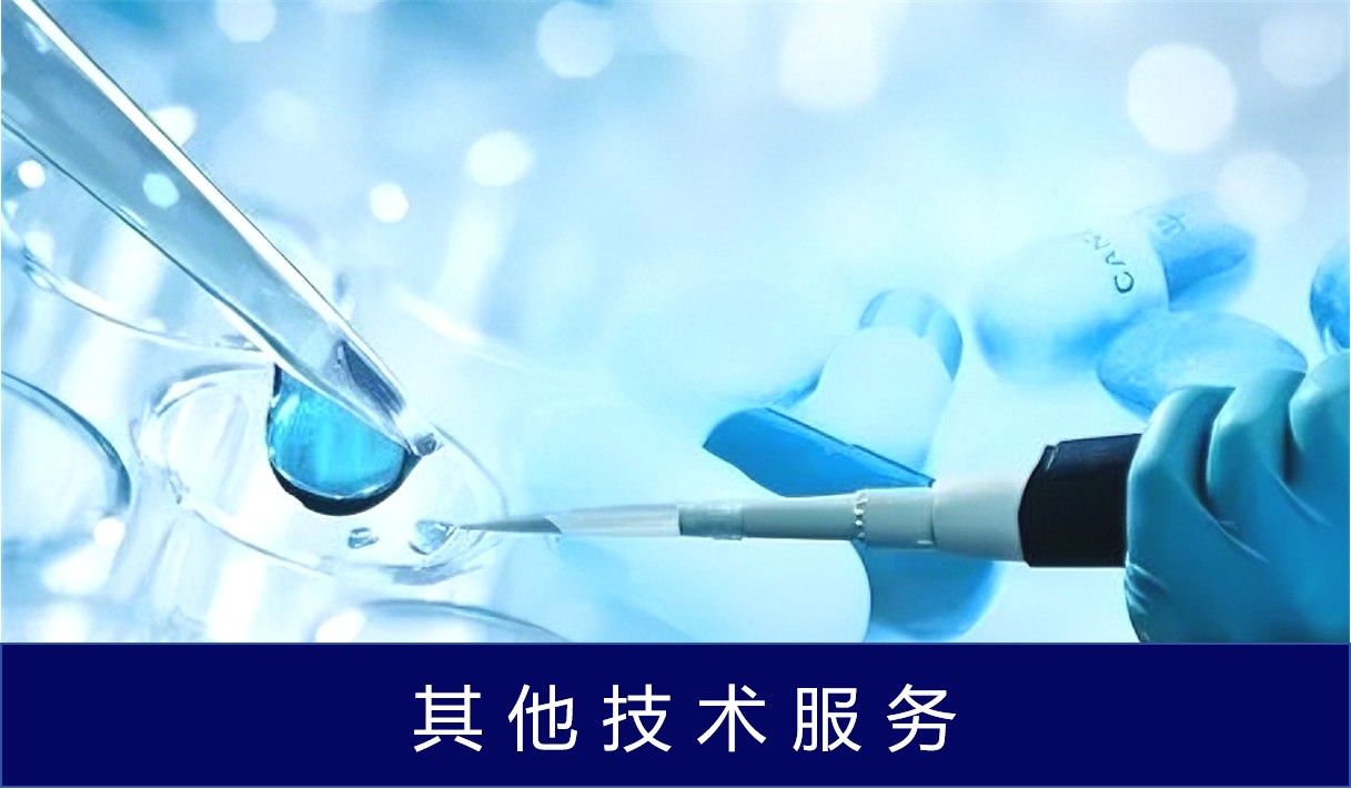 其他技术服务