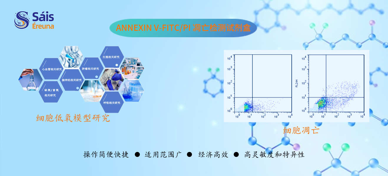 Annexin V-FITC/PI 凋亡检测试剂盒