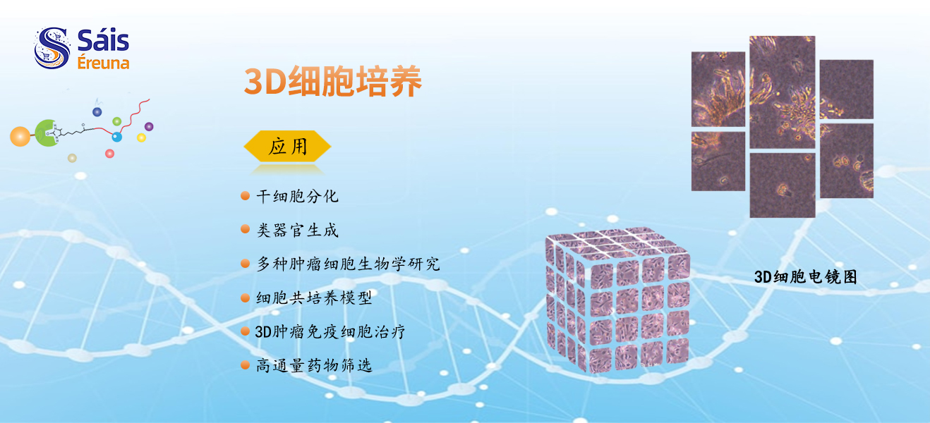 3D细胞培养