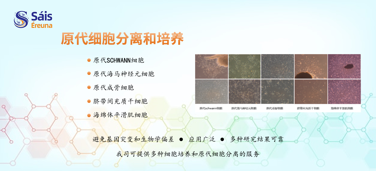 原代细胞分离和培养